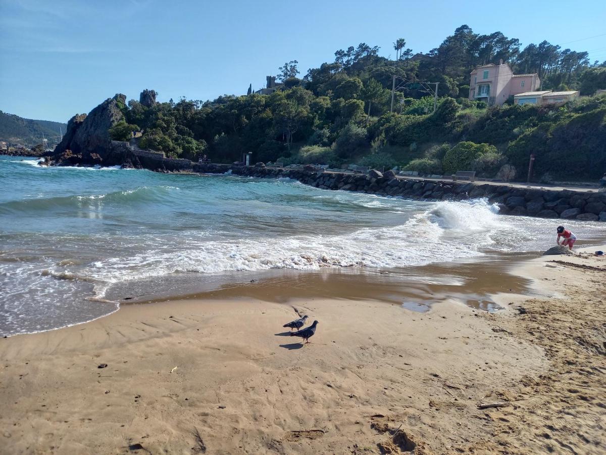 Villa Malibu Mandelieu Exteriér fotografie